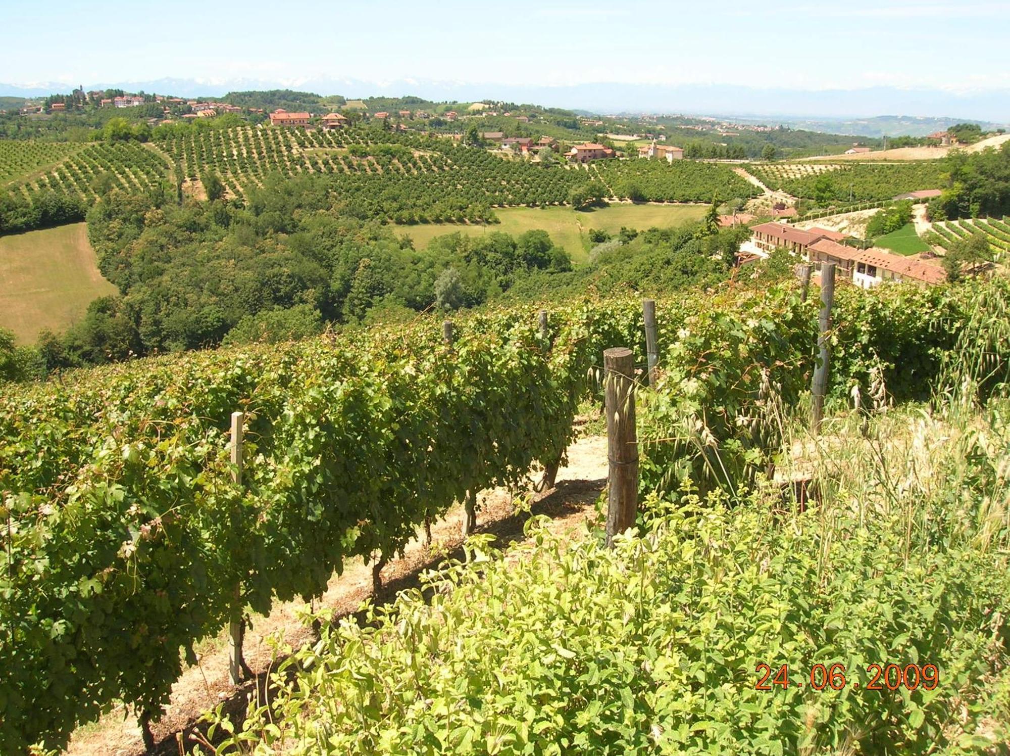 Diano dʼAlba Tenuta Calabiana מראה חיצוני תמונה