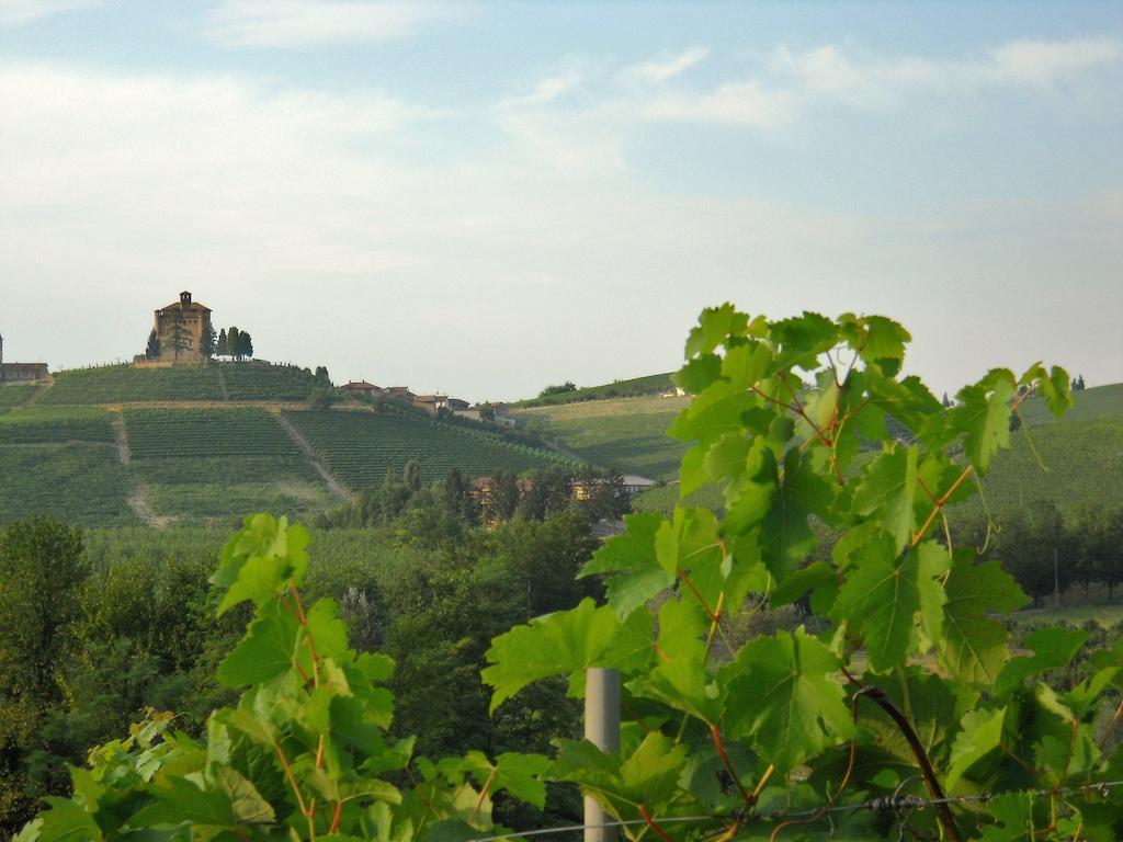 Diano dʼAlba Tenuta Calabiana חדר תמונה